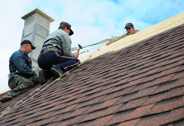 Best Shingle Roofing Installation  in Notasulga, AL